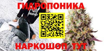 спиды Кохма