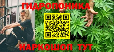 тгк Котовск
