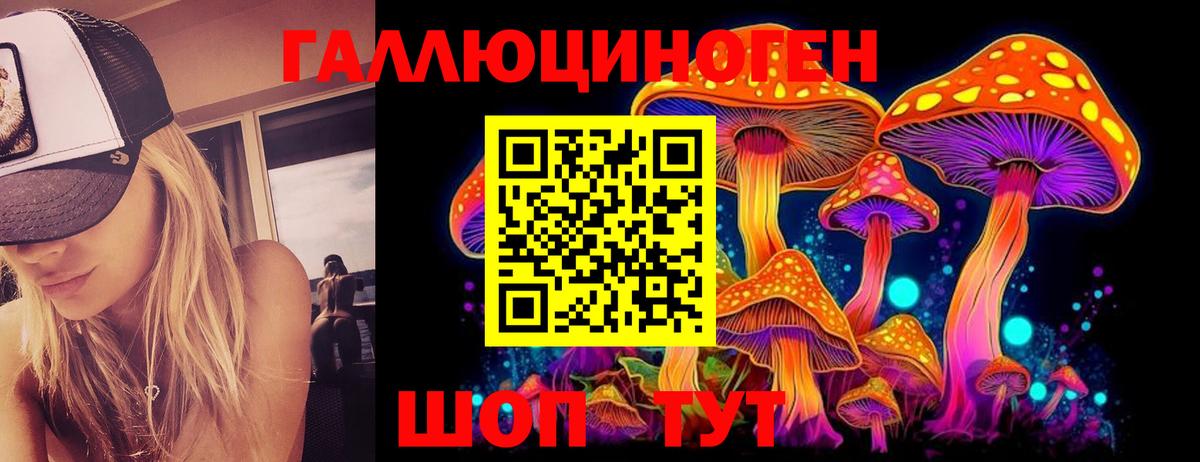 Большой Камень  Псилоцибиновые грибы Magic Shrooms  Вход с VPN  купить наркотик  Псилоцибиновые грибы GOLDEN TEACHER 