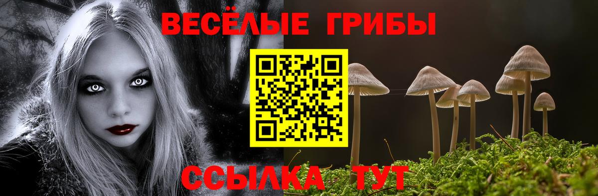 Галлюциногенные грибы MAGIC MUSHROOMS Большой Камень